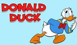 大熊爆料周易视频大全,周易视频大全深度解析